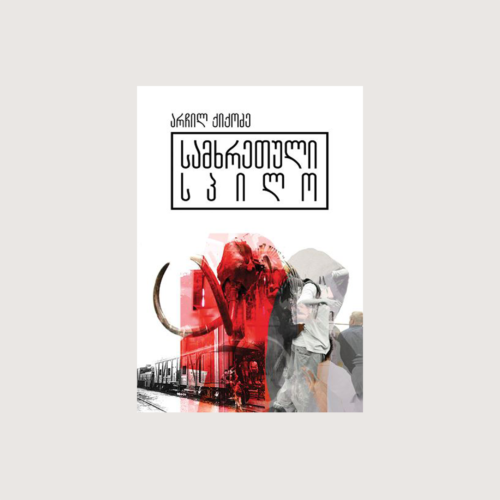 არჩილ ქიქოძე სამხრეთული სპილო